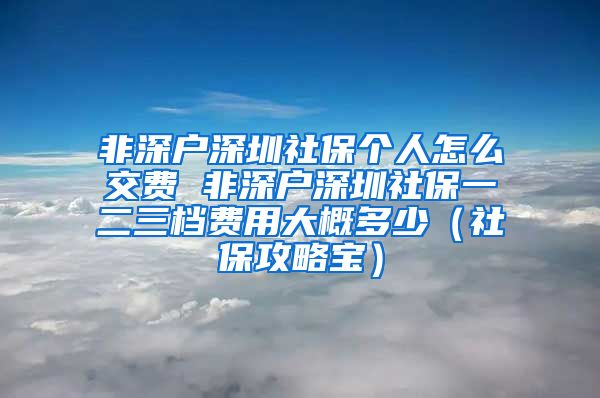 非深户深圳社保个人怎么交费 非深户深圳社保一二三档费用大概多少（社保攻略宝）