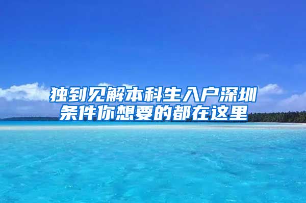 独到见解本科生入户深圳条件你想要的都在这里