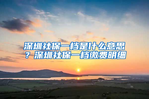 深圳社保一档是什么意思？深圳社保一档缴费明细