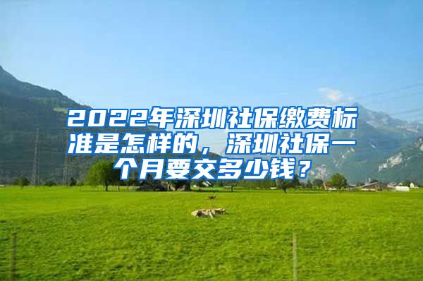 2022年深圳社保缴费标准是怎样的，深圳社保一个月要交多少钱？