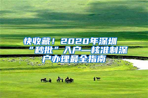 快收藏！2020年深圳“秒批”入户—核准制深户办理最全指南