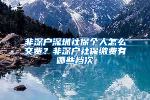 非深户深圳社保个人怎么交费？非深户社保缴费有哪些档次