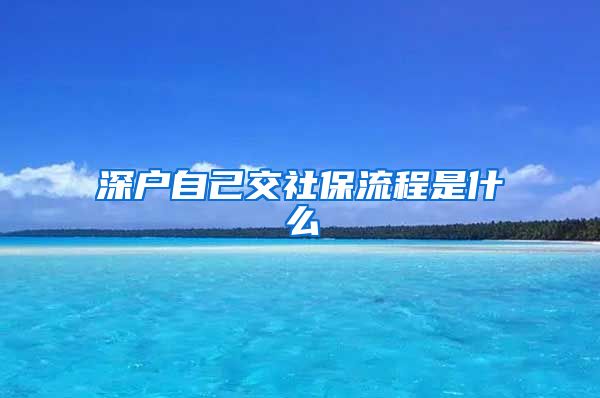 深户自己交社保流程是什么