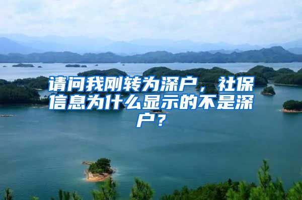 请问我刚转为深户，社保信息为什么显示的不是深户？