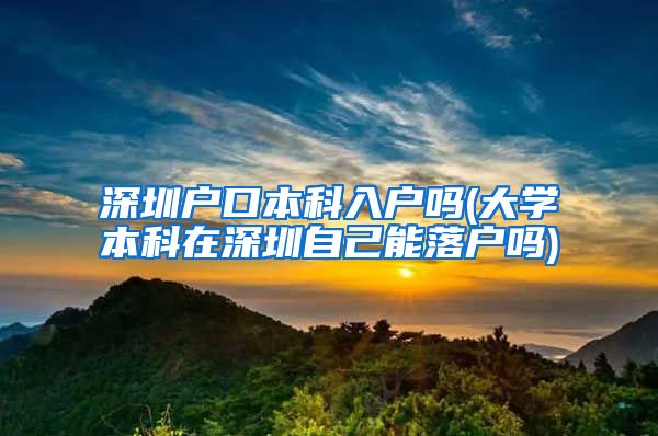 深圳户口本科入户吗(大学本科在深圳自己能落户吗)