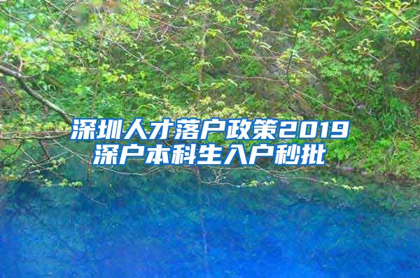 深圳人才落户政策2019深户本科生入户秒批