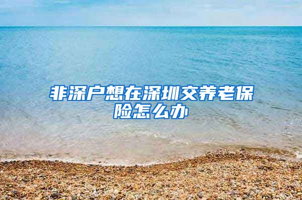 非深户想在深圳交养老保险怎么办