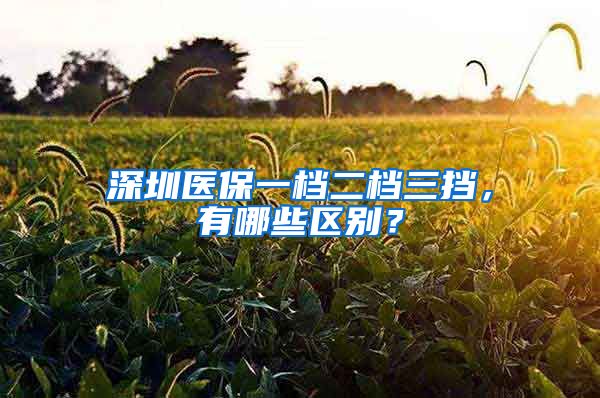 深圳医保一档二档三挡，有哪些区别？