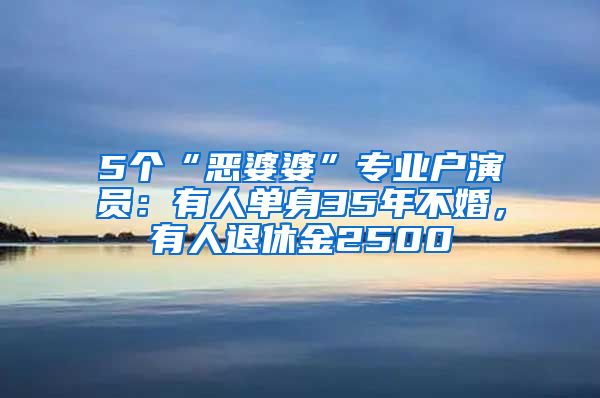 5个“恶婆婆”专业户演员：有人单身35年不婚，有人退休金2500