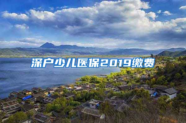 深户少儿医保2019缴费