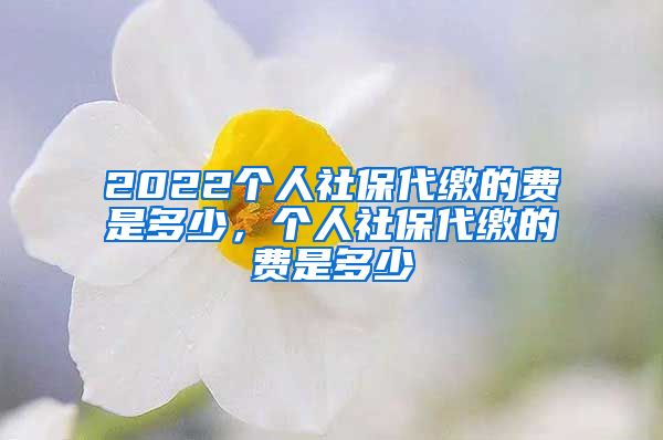 2022个人社保代缴的费是多少，个人社保代缴的费是多少