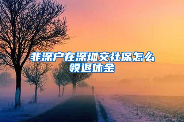 非深户在深圳交社保怎么领退休金