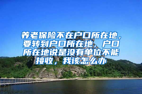 养老保险不在户口所在地，要转到户口所在地，户口所在地说是没有单位不能接收，我该怎么办