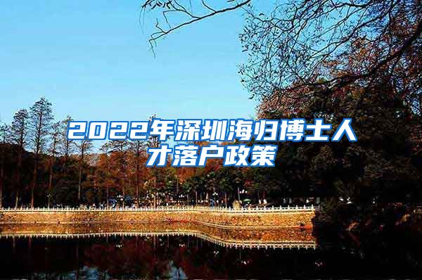 2022年深圳海归博士人才落户政策