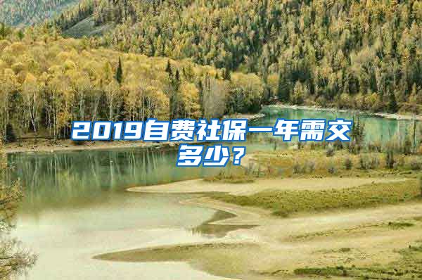 2019自费社保一年需交多少？