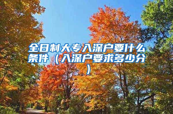 全日制大专入深户要什么条件（入深户要求多少分）