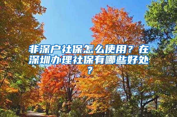 非深户社保怎么使用？在深圳办理社保有哪些好处？