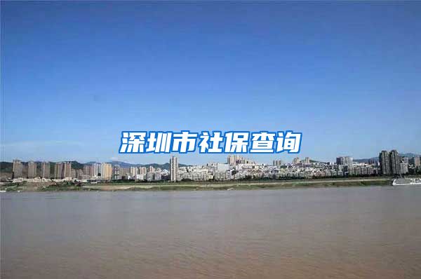 深圳市社保查询