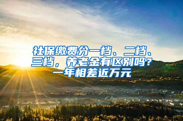 社保缴费分一档、二档、三档，养老金有区别吗？一年相差近万元