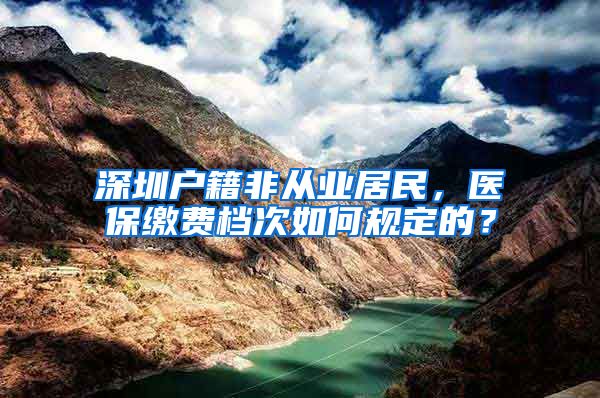 深圳户籍非从业居民，医保缴费档次如何规定的？