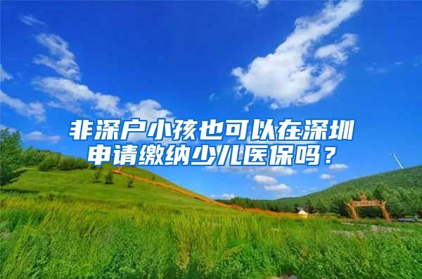 非深户小孩也可以在深圳申请缴纳少儿医保吗？