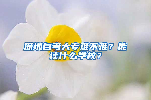 深圳自考大专难不难？能读什么学校？