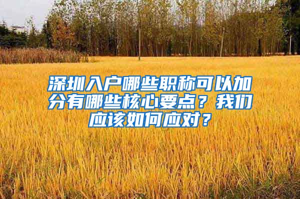 深圳入户哪些职称可以加分有哪些核心要点？我们应该如何应对？