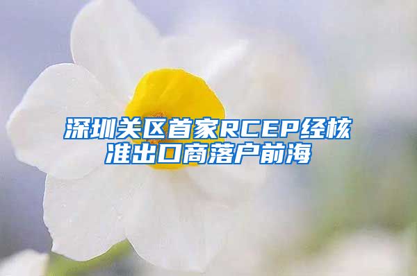 深圳关区首家RCEP经核准出口商落户前海