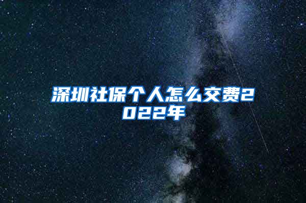 深圳社保个人怎么交费2022年