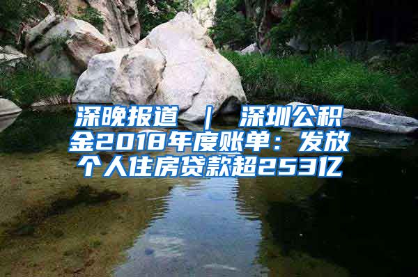 深晚报道 ｜ 深圳公积金2018年度账单：发放个人住房贷款超253亿