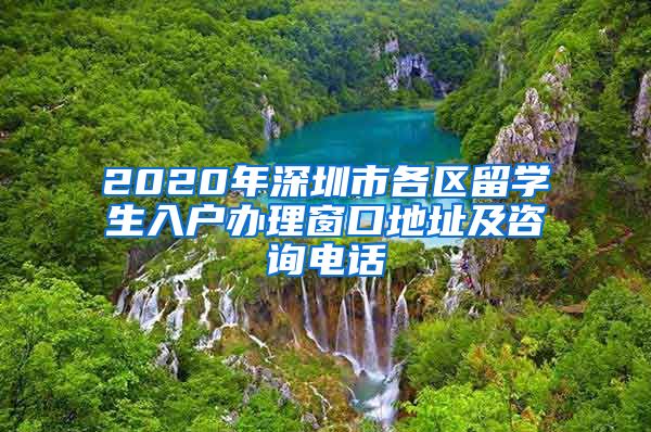 2020年深圳市各区留学生入户办理窗口地址及咨询电话