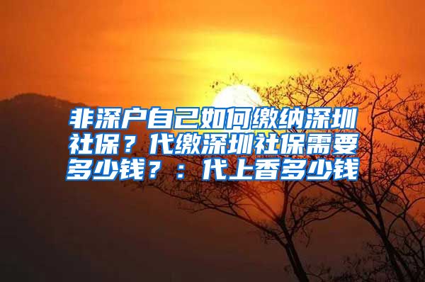 非深户自己如何缴纳深圳社保？代缴深圳社保需要多少钱？：代上香多少钱