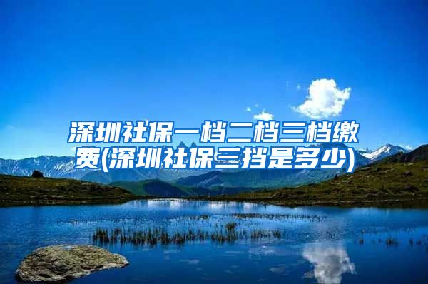 深圳社保一档二档三档缴费(深圳社保三挡是多少)