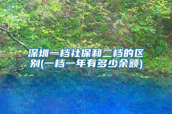 深圳一档社保和二档的区别(一档一年有多少余额)