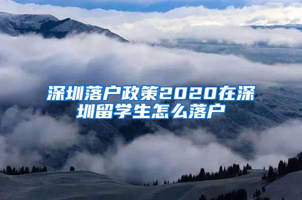 深圳落户政策2020在深圳留学生怎么落户