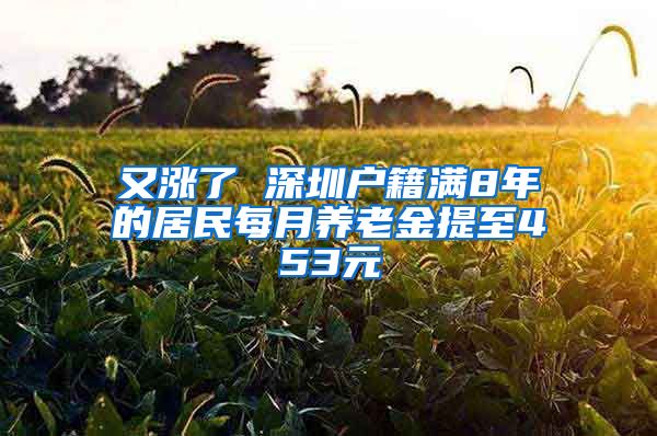 又涨了 深圳户籍满8年的居民每月养老金提至453元