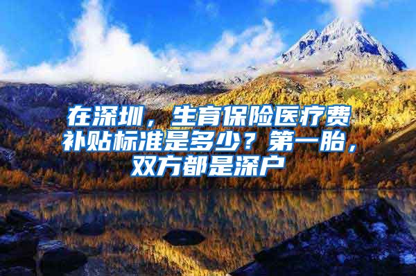 在深圳，生育保险医疗费补贴标准是多少？第一胎，双方都是深户