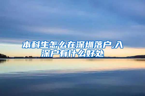 本科生怎么在深圳落户,入深户有什么好处