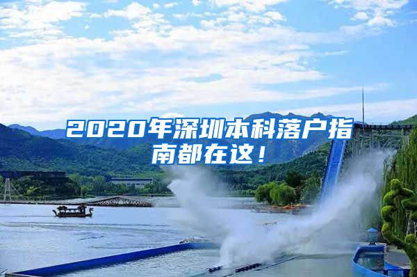 2020年深圳本科落户指南都在这！