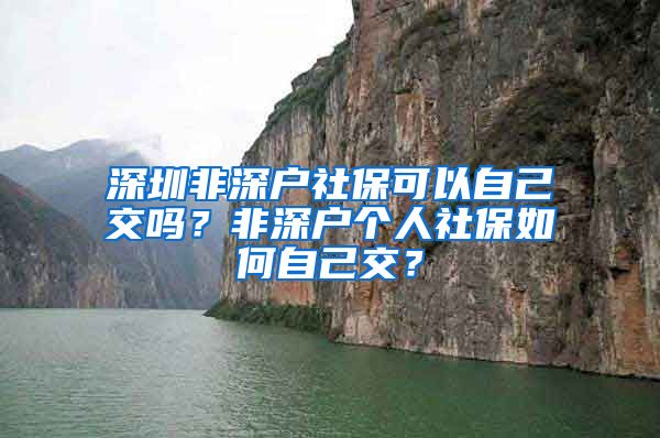 深圳非深户社保可以自己交吗？非深户个人社保如何自己交？