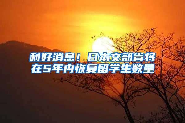 利好消息！日本文部省将在5年内恢复留学生数量