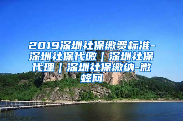 2019深圳社保缴费标准-深圳社保代缴｜深圳社保代理｜深圳社保缴纳-微蜂网