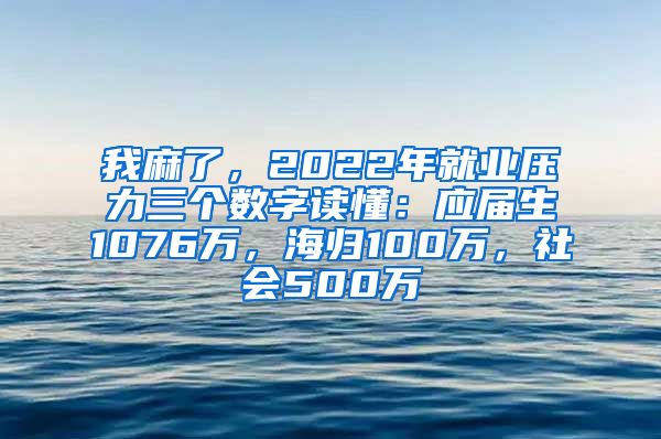 我麻了，2022年就业压力三个数字读懂：应届生1076万，海归100万，社会500万