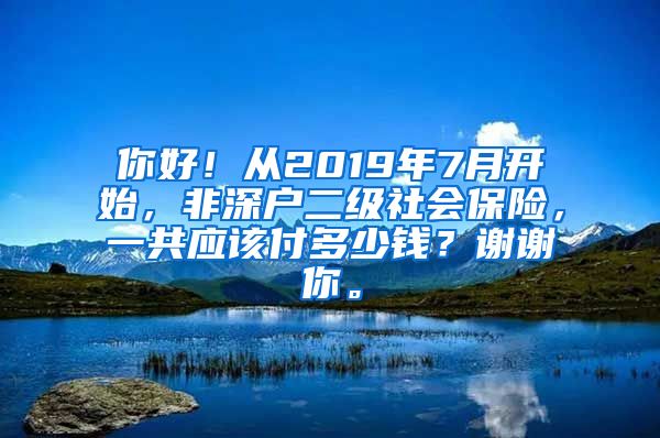 你好！从2019年7月开始，非深户二级社会保险，一共应该付多少钱？谢谢你。