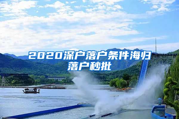 2020深户落户条件海归落户秒批