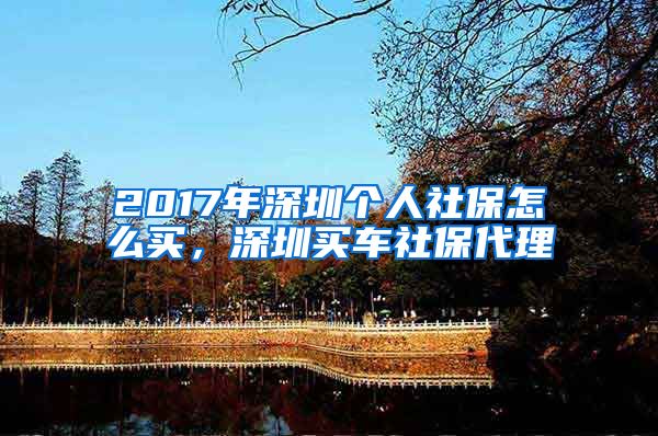 2017年深圳个人社保怎么买，深圳买车社保代理