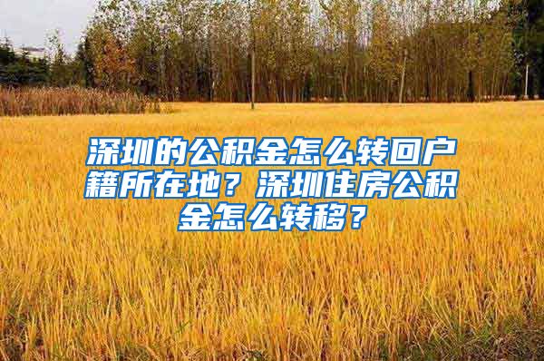 深圳的公积金怎么转回户籍所在地？深圳住房公积金怎么转移？