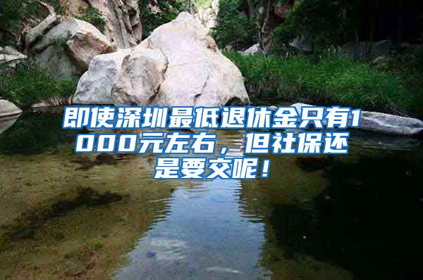 即使深圳最低退休金只有1000元左右，但社保还是要交呢！