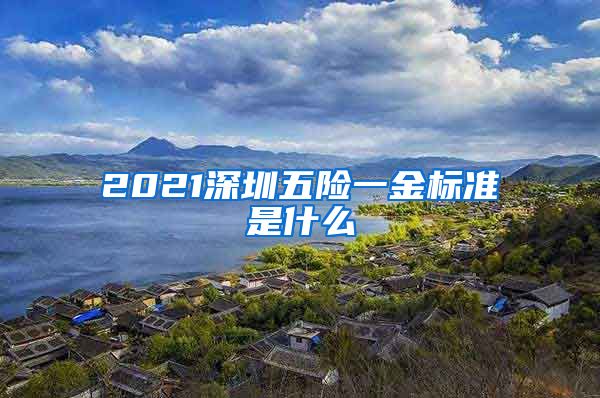 2021深圳五险一金标准是什么