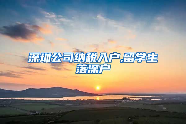 深圳公司纳税入户,留学生落深户